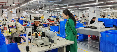 藍山委員提案助推產(chǎn)業(yè)大發(fā)展，央廣網(wǎng)聚焦社會經(jīng)濟咨詢服務